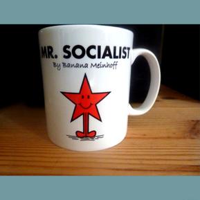 Mr Socialist